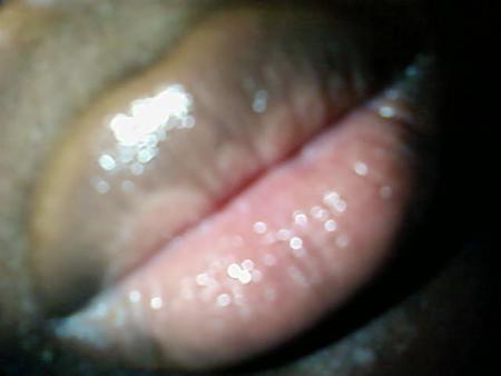 bxs